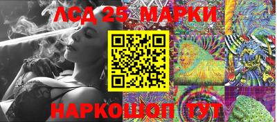 гашик Можга