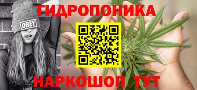 гашик Можга