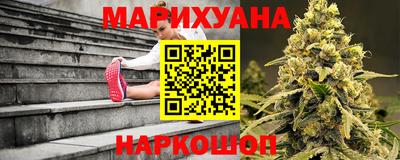 гашик Можга