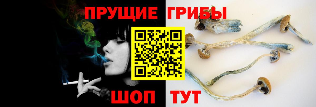 Псилоцибиновые грибы MAGIC MUSHROOMS Верхняя Салда
